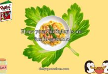 Pasta Puns Pasta Puns