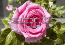 Picture Pick Up Lines Picture Pick Up Lines