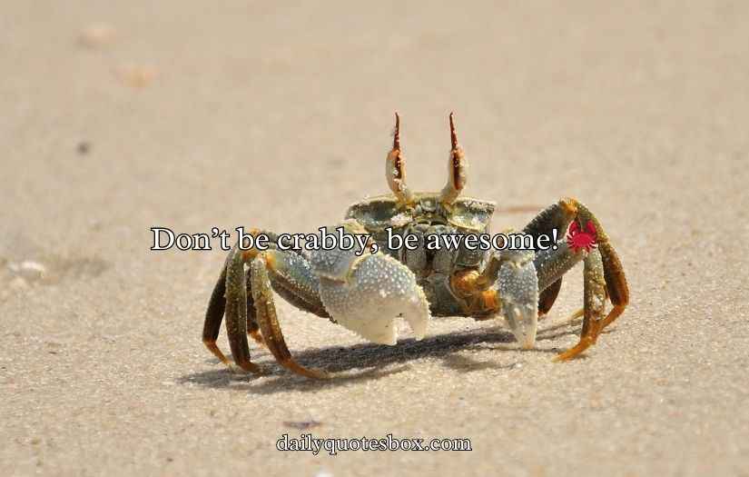 Crab Puns