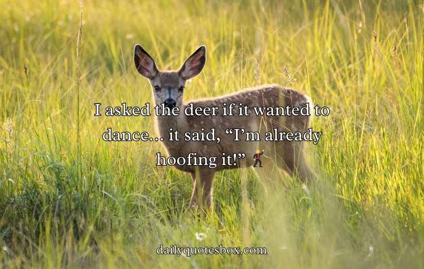 Deer Puns and Jokes