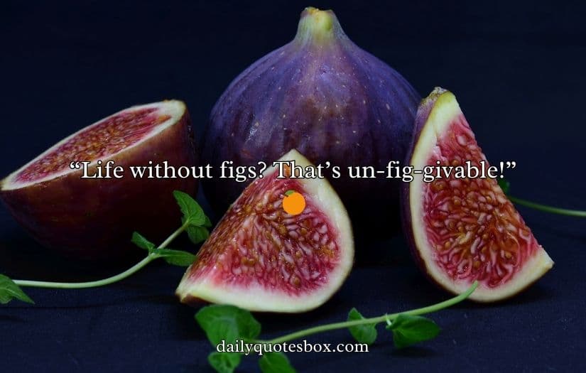 Fig Puns and Jokes