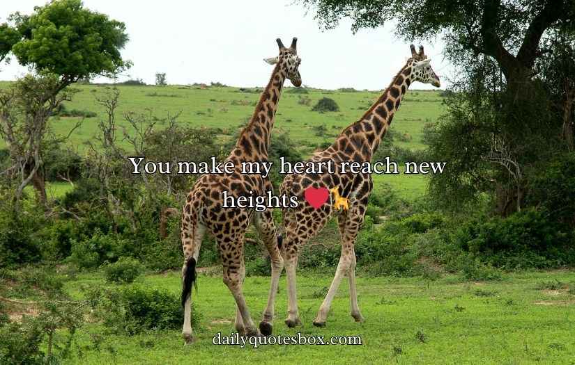 Giraffe Puns
