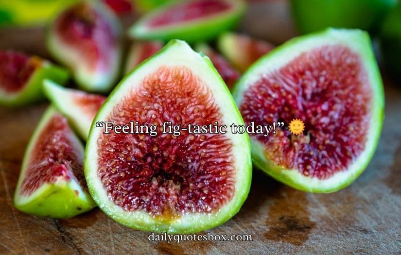 Fig Puns and Jokes