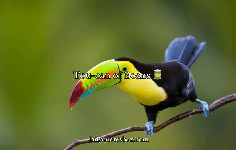Toucan Puns and Jokes