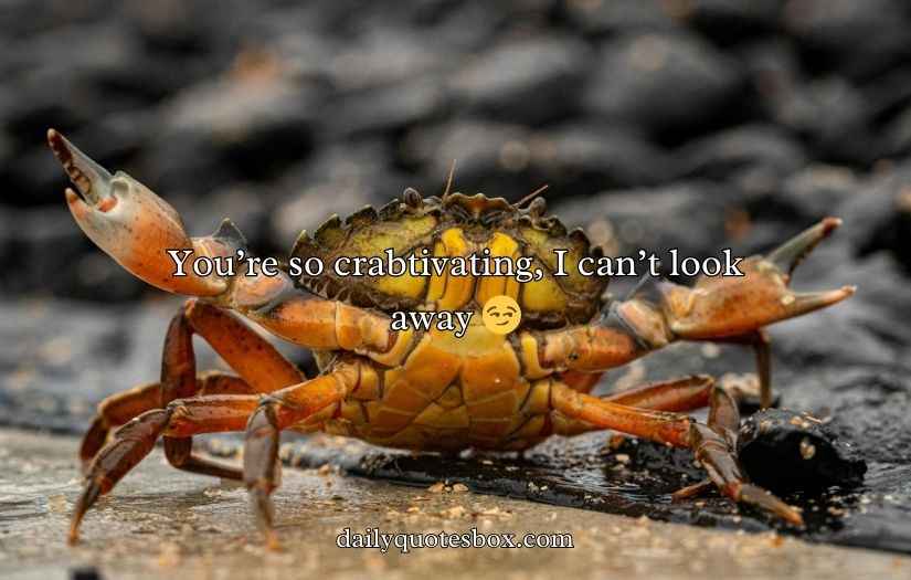 Crab Puns