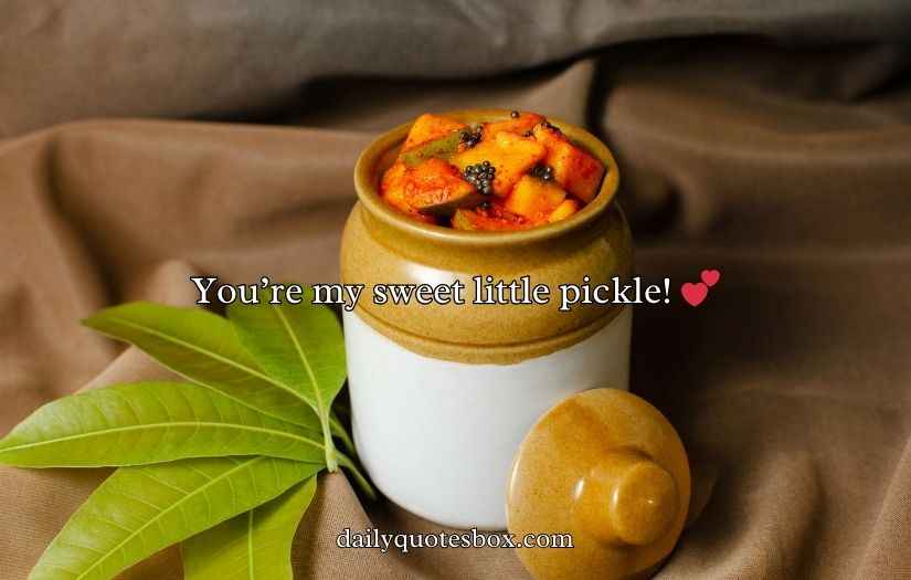 Pickle Puns