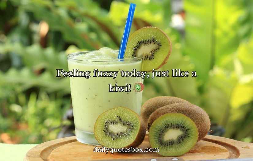Kiwi Puns And Jokes