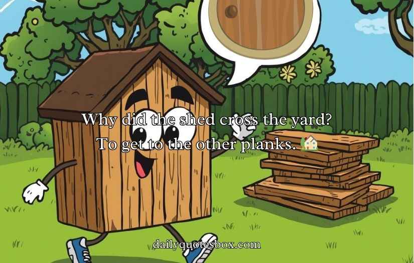 Shed Jokes & Puns