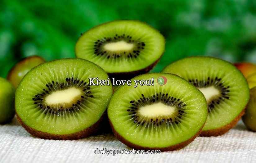 Kiwi Puns And Jokes