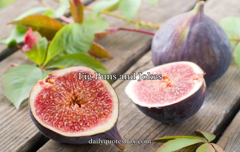 Fig Puns and Jokes