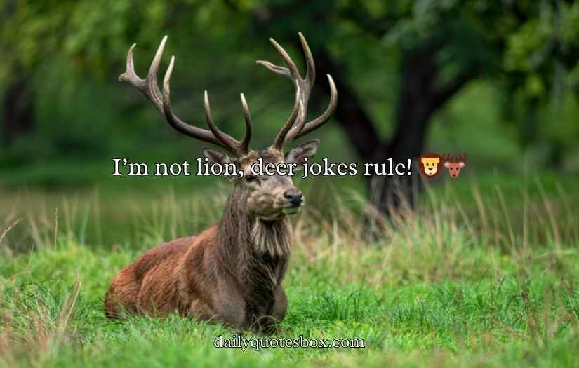 Deer Puns and Jokes