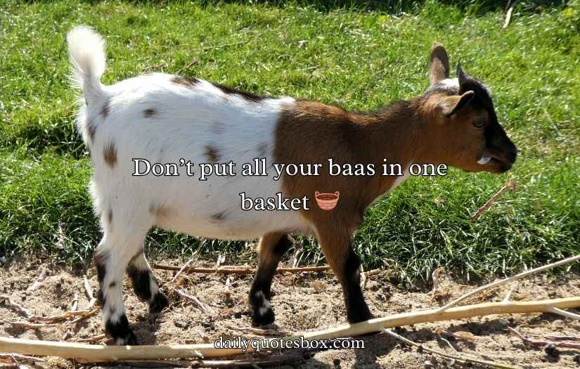 Funny One Liner Goat Puns