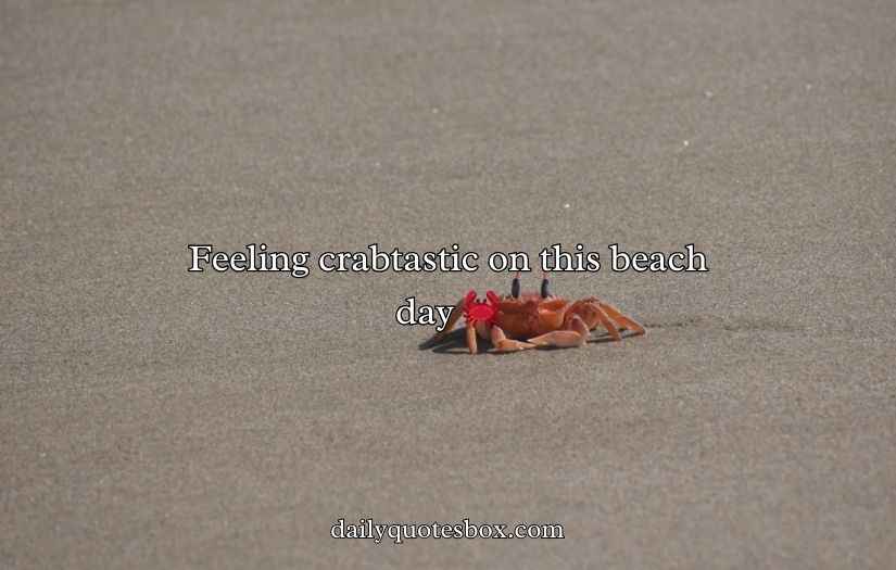 Crab Puns