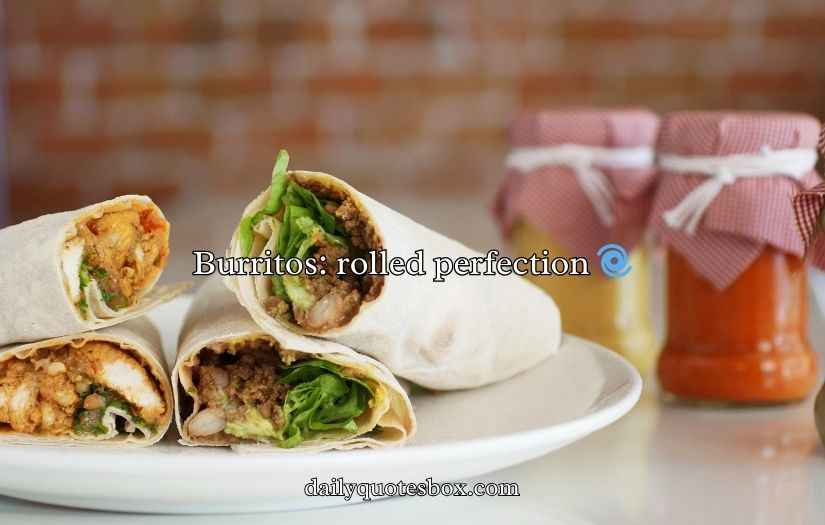 Burrito Puns and Jokes