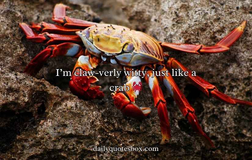 Crab Puns
