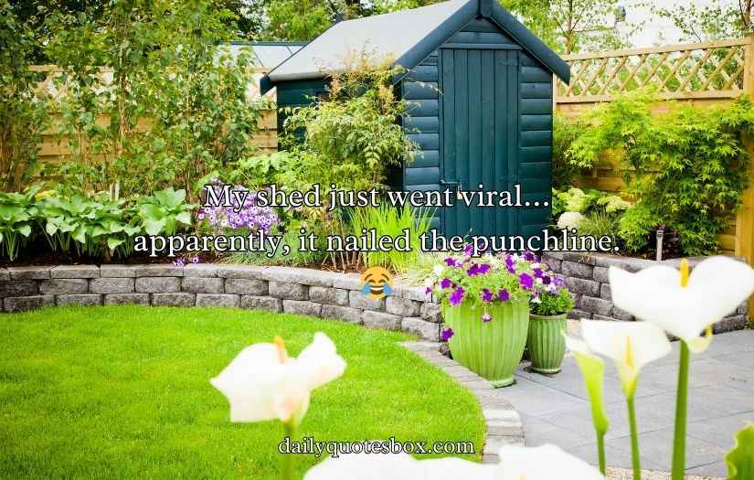 Shed Jokes & Puns
