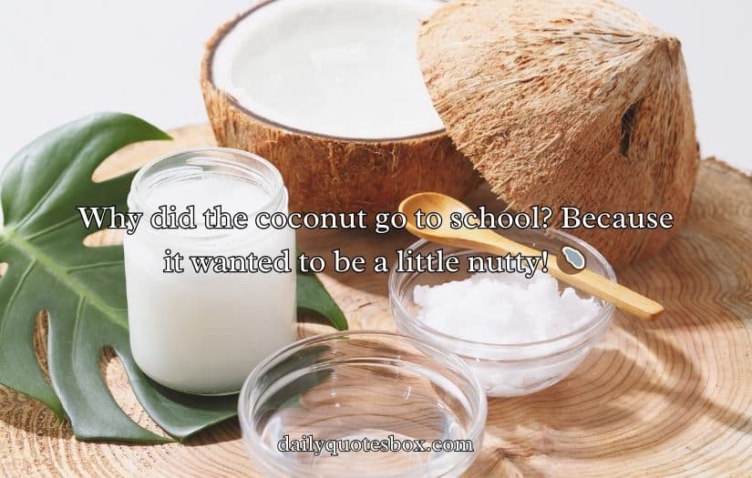 Coconut Puns And Jokes