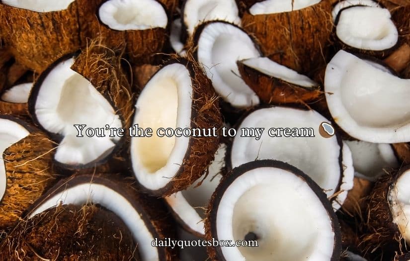 Coconut Puns And Jokes