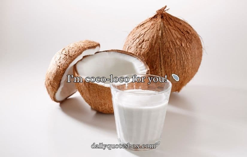 Coconut Puns And Jokes