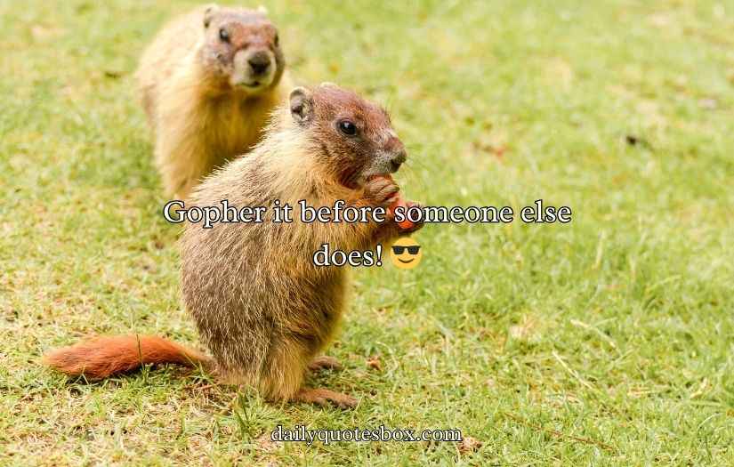 Gopher Puns