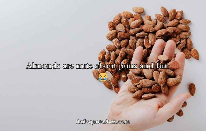 Almond Puns