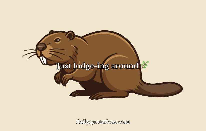 Beaver Puns