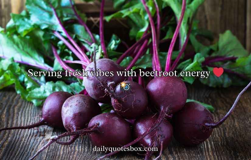 Beetroot Puns