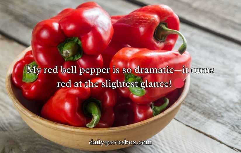 Bell Pepper Puns and Jokes