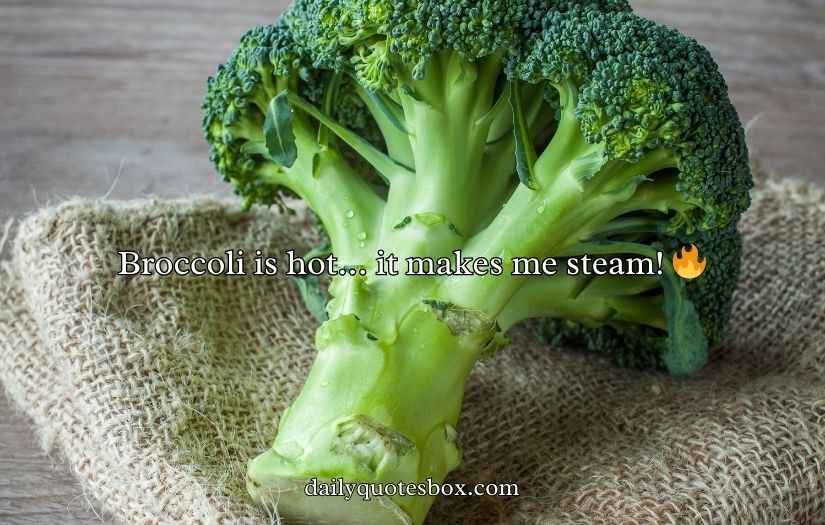 Broccoli Puns And Jokes