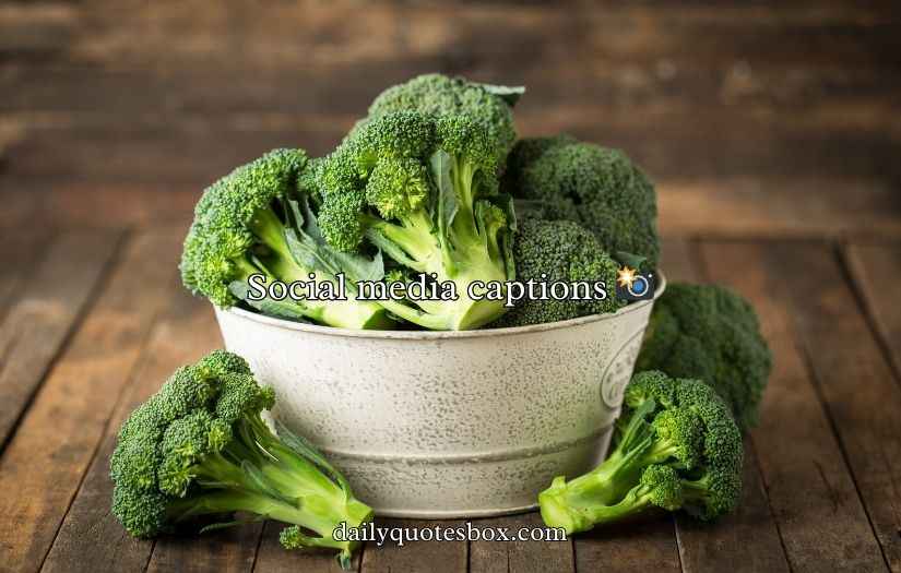 Broccoli Puns And Jokes