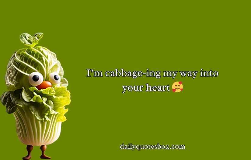 Cabbage Puns And Jokes