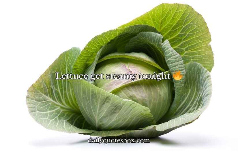 Cabbage Puns And Jokes