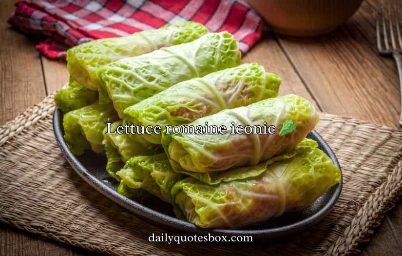 Cabbage Puns And Jokes