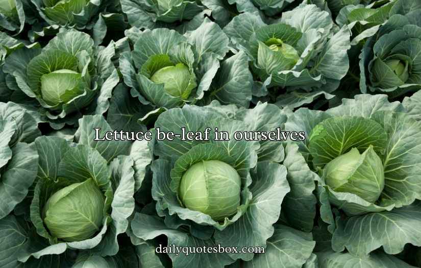 Cabbage Puns And Jokes