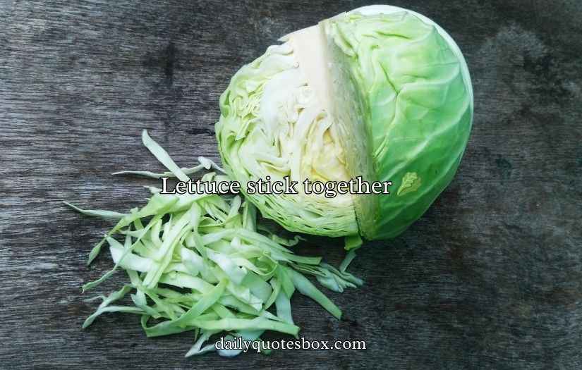 Cabbage Puns And Jokes