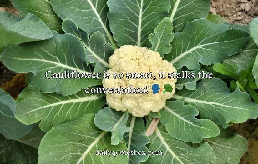 Cauliflower Puns and Jokes