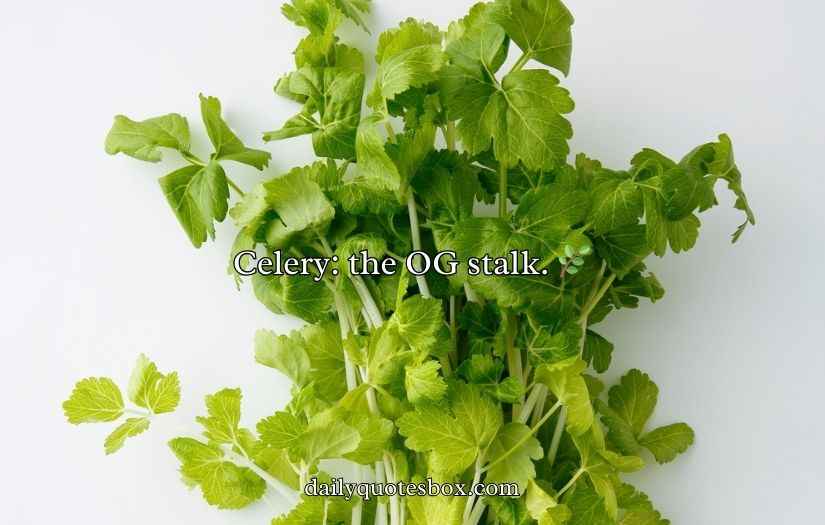 Celery Puns