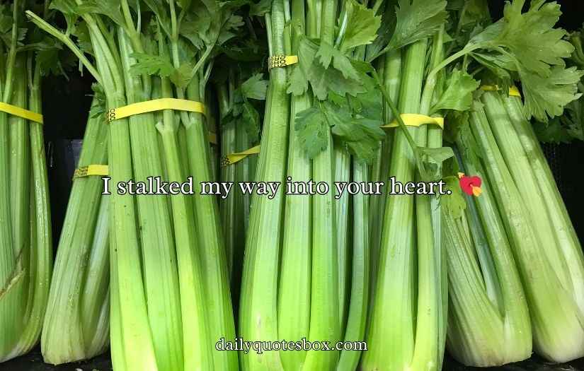 Celery Puns