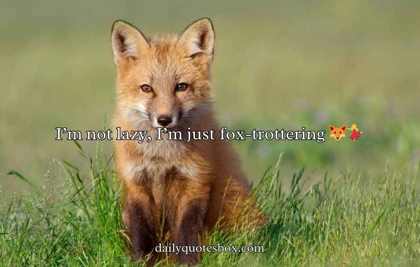 Fox Puns and Jokes