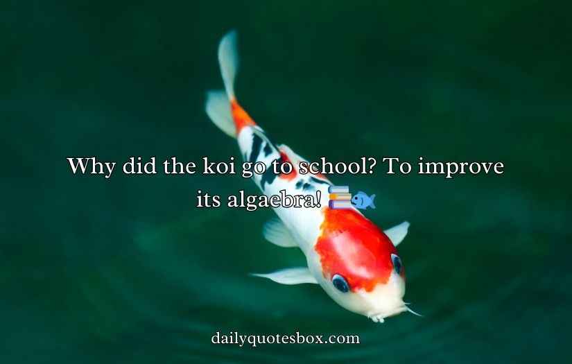 Koi Fish Puns and Jokes