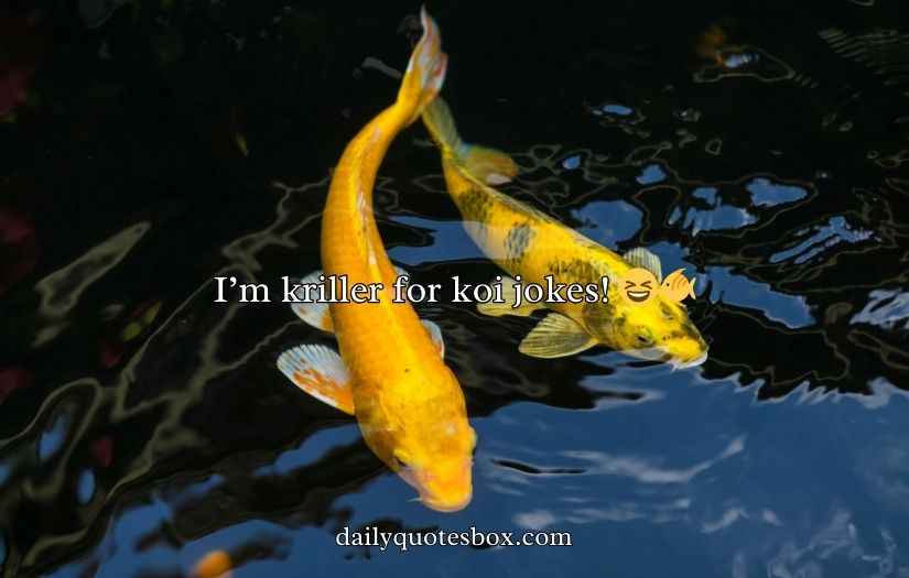 Koi Fish Puns and Jokes
