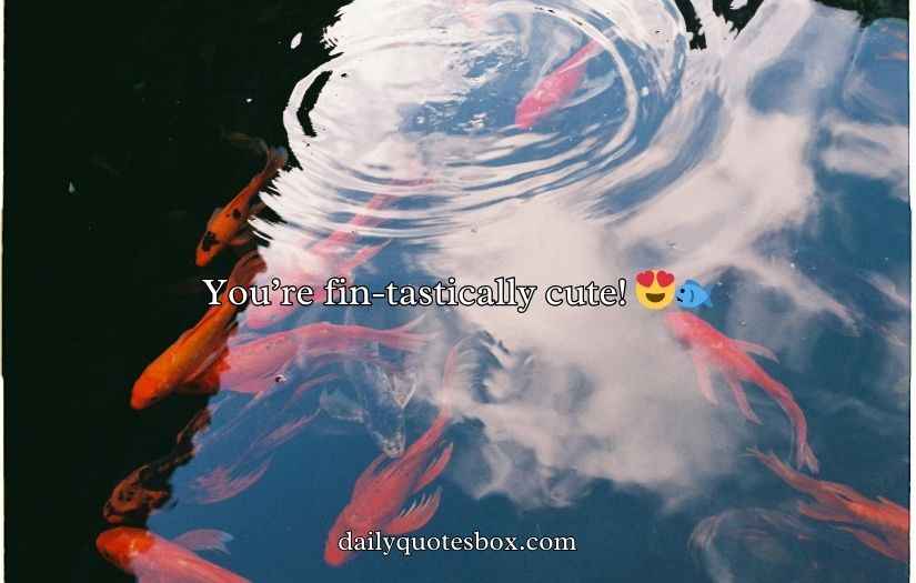 Koi Fish Puns and Jokes