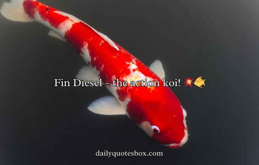 Koi Fish Puns and Jokes