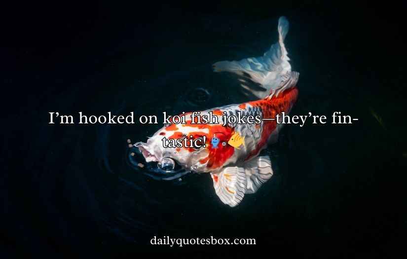 Koi Fish Puns and Jokes