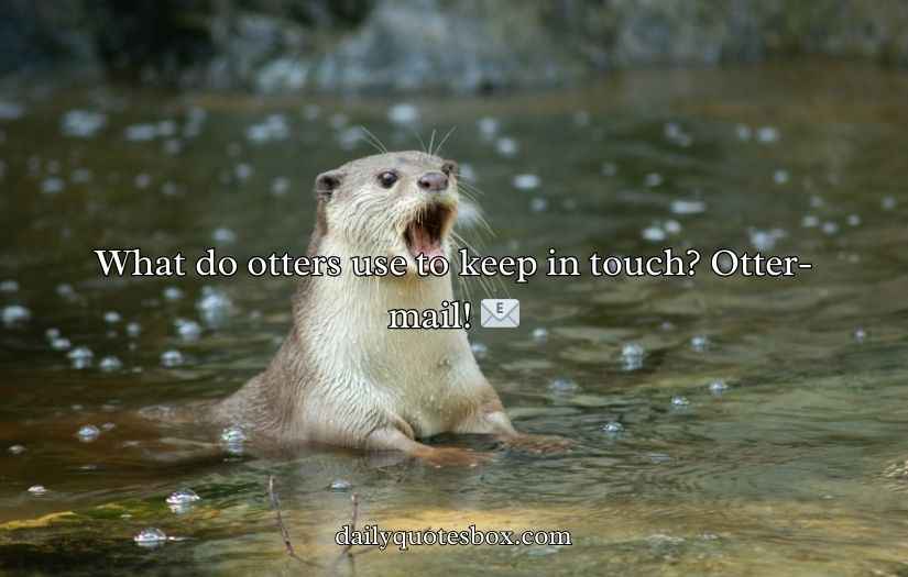 Otter Puns and Jokes