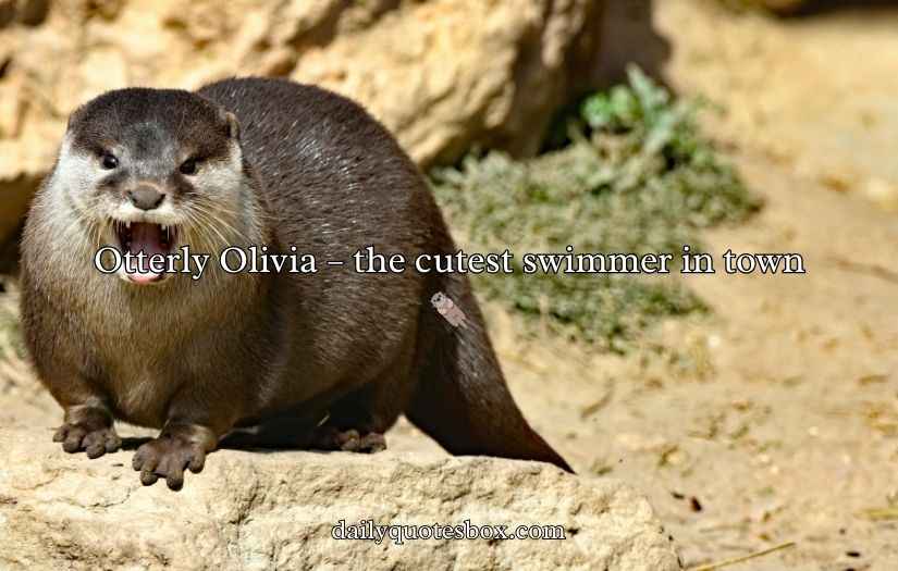 Otter Puns and Jokes