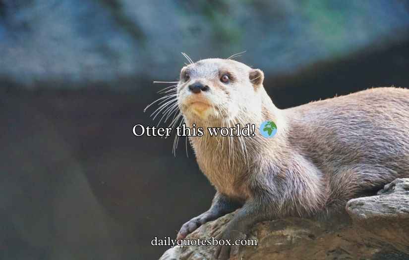 Otter Puns and Jokes
