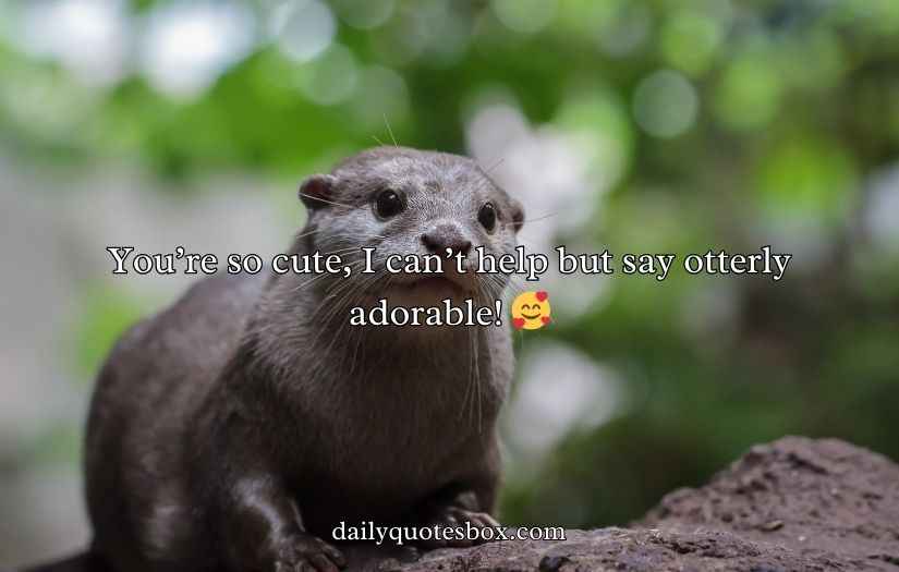 Otter Puns and Jokes