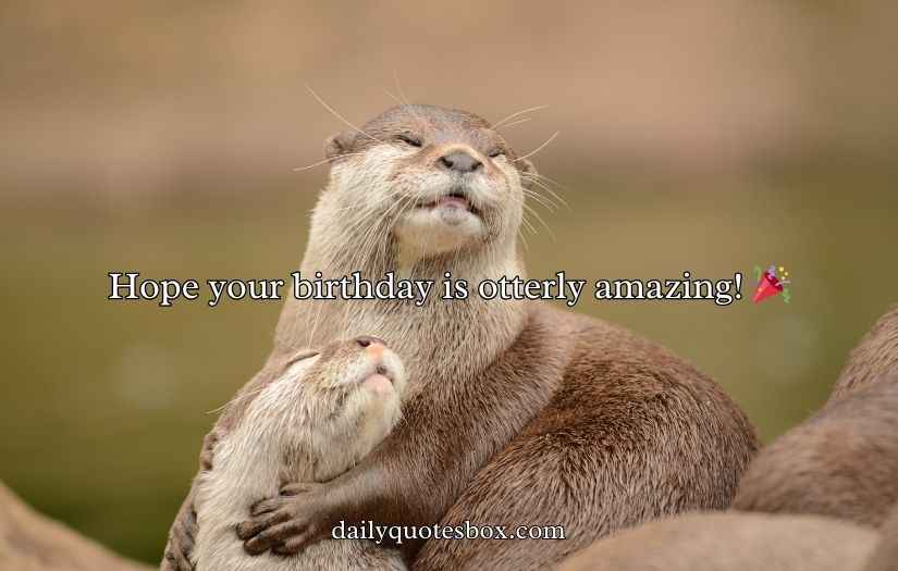 Otter Puns and Jokes