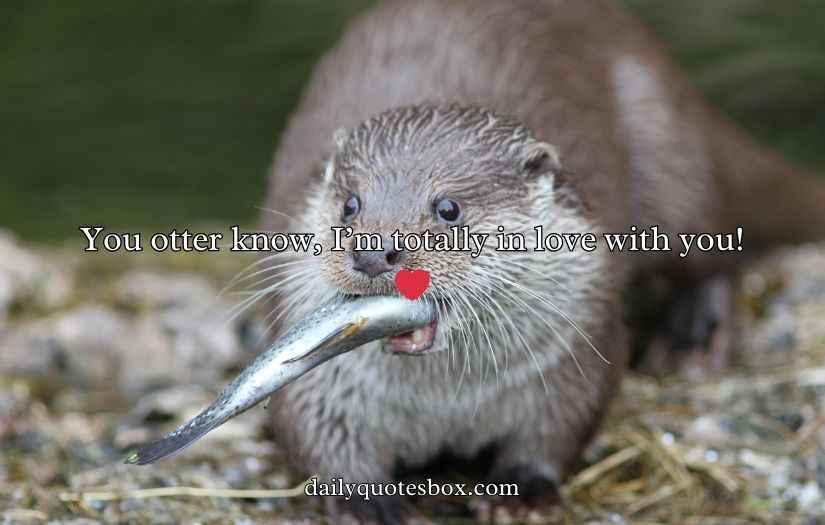 Otter Puns and Jokes